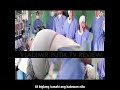 Title Movie The Nutty Professor