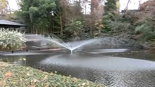 preview picture of video '[ZR-850]川口グリーンセンター 白鳥の池の噴水[30-120fps] -The fountain in the Swan Pond, Kawaguchi Green Center-'