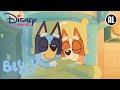 Bluey | Geheime Berichten | Disney Channel NL