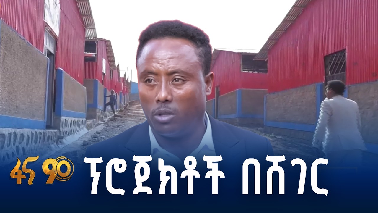 ችግር ፈቺ ፕሮጀክቶች