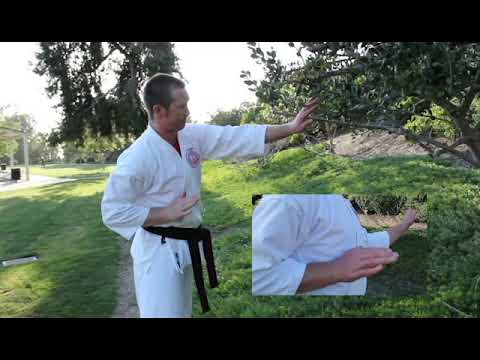 Learn the Taikyoku Kake and Kake Uke: OCIGK Goju Ryu Training Video