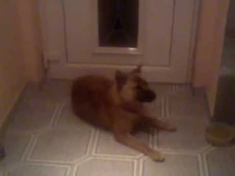 Thara got that bounce