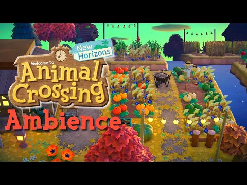Animal Crossing | Relaxing Autumn Morning Ambience + Music
