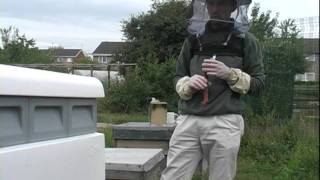 preview picture of video 'Beekeeping in Nottingham: Thrive with a Hive at Stonebridge City Farm.dv'