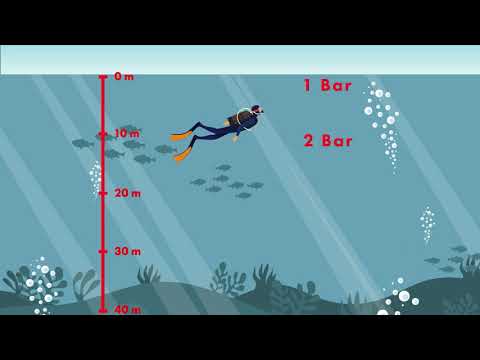 Sporttauchen einfach erklärt