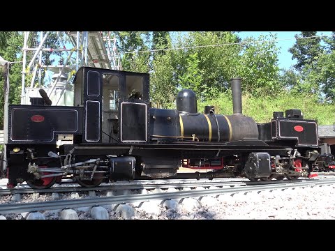 Ein Paradies für Modelleisenbahn Dampfloks und Echtdampf Lokomotiven beim Dampfbahnclub der Schweiz