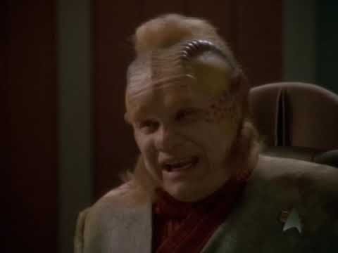 Neelix Informs the Staff that he has heard of These Aliens