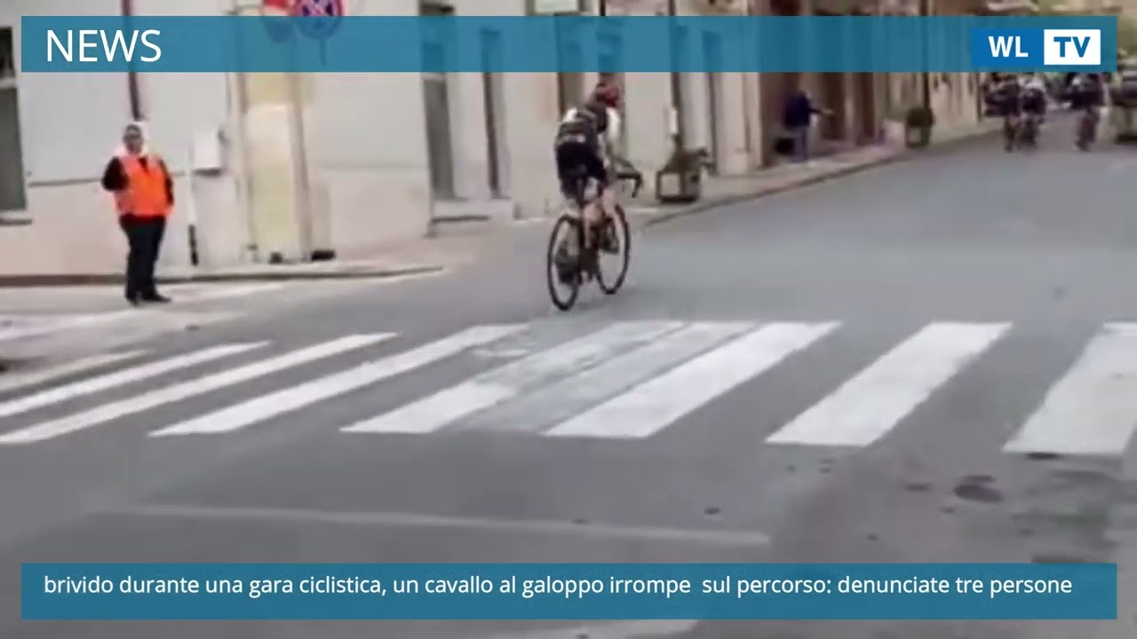 Solarino, brivido durante una gara ciclistica, un cavallo al galoppo irrompe  sul percorso: denunciate tre persone