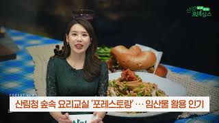 (2023년 6월 산림뉴스) 숲 속 요리교실 '포레스토랑'