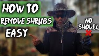 HOW TO REMOVE SHRUBS 🌳EASY | No Shovel❌(Landscape Plant Removal)