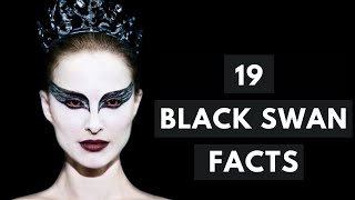 19 Crazy Black Swan Facts You Need To Know