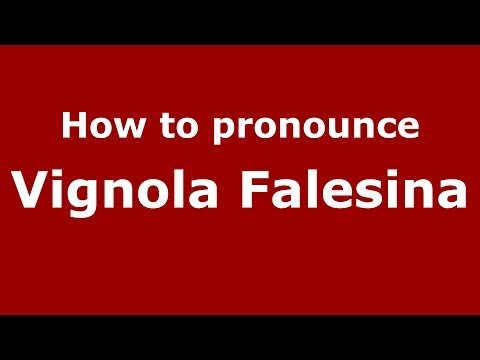 How to pronounce Vignola Falesina (Italian/Italy) - PronounceNames.com