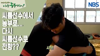 [방울토마토 농장에 씨름꾼이 산다] 초보 농부의 농사법