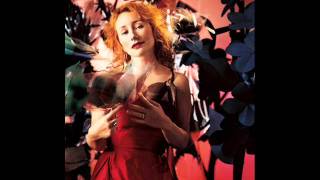 Tori Amos,EXCELLENT SOUND QUALITY,Carry live from Helsinki 2011 with wonderful picture of  Tori Amos