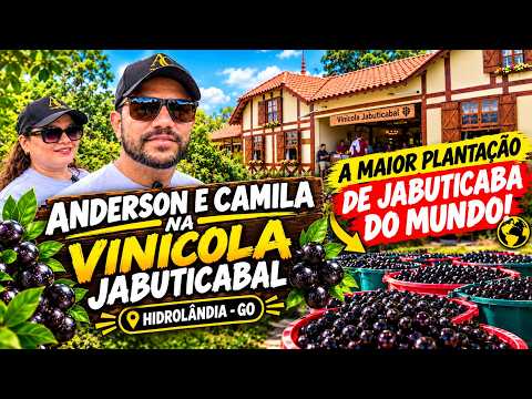 Vinícola  Jabuticabal! A maior plantação de jabuticaba do mundo!