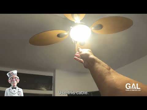 AL029 Fan T0 PedrasdelRei 08