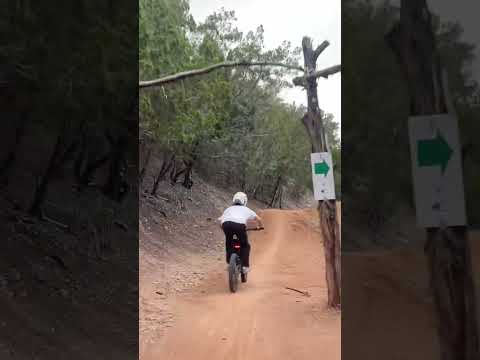 Surron Ebike VS Bike Park⚡️