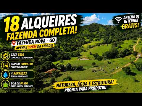Fazenda à Venda em Fazenda Nova GO | 18 Alqueires | 4 Represas | Boa de Pasto