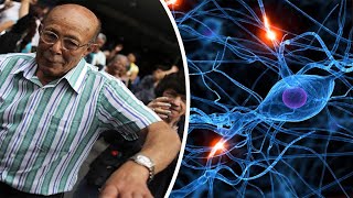 Top 10 facts about the human body you should know - Compilation