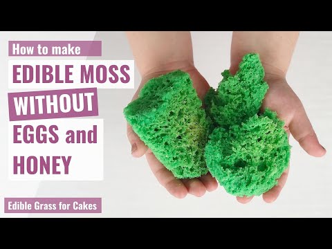 HOW TO MAKE EDIBLE MOSS WITHOUT EGGS AND HONEY | Edible Grass for Cakes | Edible Easter Grass