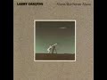 Larry carlton - pure delight