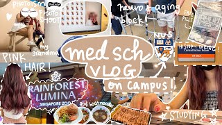 med school vlog 🏫(a week of lessons at NUS) | self photo studio SG, pink hair, zoo! study with me🌷