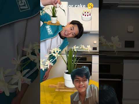 Real or cake #pandareacts#pandaboireactions#food #pandareact#challenge#pranks #pandaboititkok#shorts