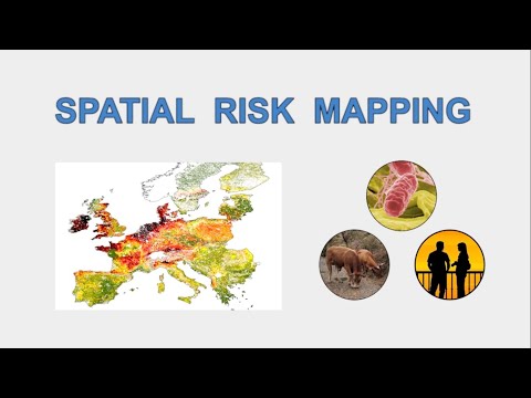 SPATIAL RISK ANALYSIS