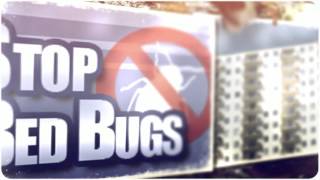 preview picture of video 'Bed Bug Spraying in Manteca CA 209-456-5665 Free Bed Bug Inspection'