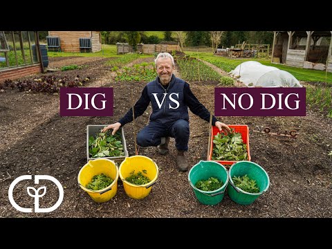 Dig vs no dig trial beds