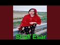 Yar Me Taya Yara Zama