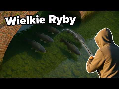 I Couldn't Believe What Was Swimming Under That Bridge