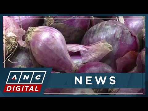 DA to extend ban on onion importation up to July 2024 ANC