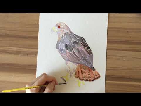 Red-tailed Hawk Watercolor Tutorial || Marni Manning Art