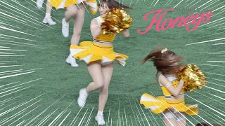 《プロ野球 チアリーダー》福岡ソフトバンクホークス　ハニーズ　Honeys　2024　①《BraveTV》