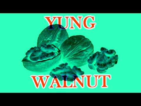 yung walnut - bathroom break 2