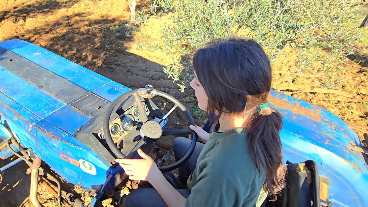 Me va a enseñar Richard a labrar con el tractor Libélula este olivar