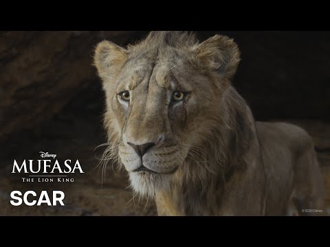 Scar