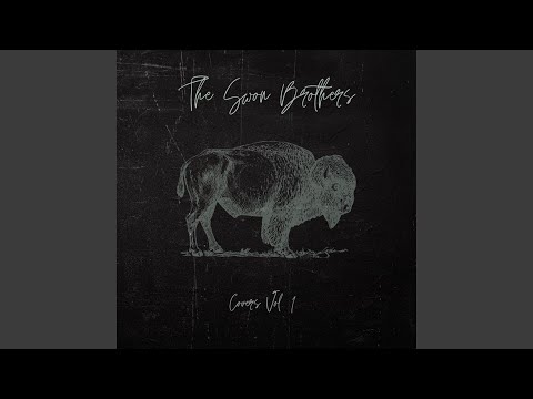 The Ride - The Swon Brothers