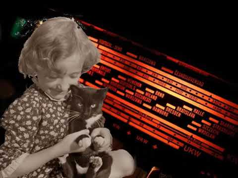 Голос Всесоюзного радио — Маргарита КОРАБЕЛЬНИКОВА. Песня Нюраши о кошке ( «Цветные стеклышки» 1985)