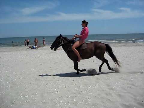 Spiaggia Sfantu Gheorghe