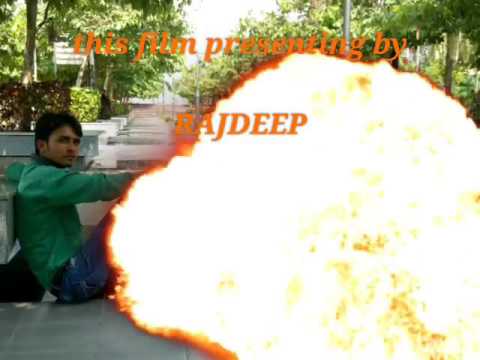 Loyal and sweet doge