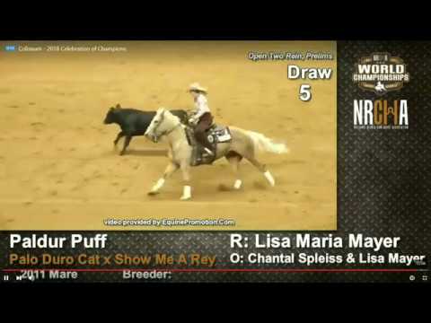 2018 NRCHA World Show Prelims Open Two Rein