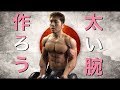 太い腕をつくりあげる Bigger Biceps & Triceps