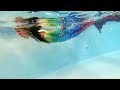 Is This ‘Mermaid’ Bathing Suit Dangerous for Kids to Wear?
