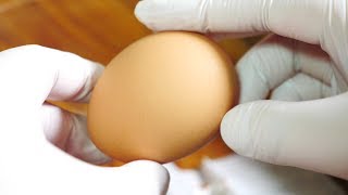 계란 껍데기 ASMR | 한세