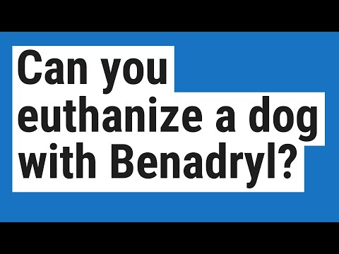 Can you euthanize a dog with Benadryl?
