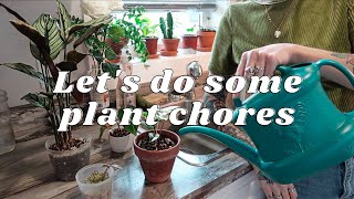 Plant Chores: repotting, watering, &amp; propagating | Play this while you&#39;re taking care of your plants