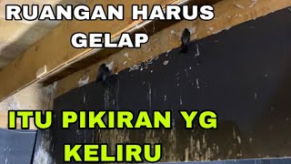 Download lagu The idea that the room must be dark is a wrong idea #swallowhouse #spatialplanning mp3