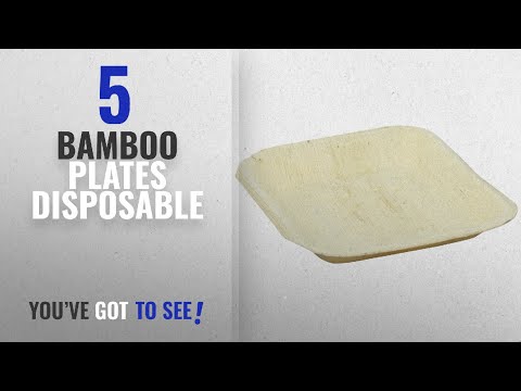 Best bamboo disposable palm leaf square 6.3 in x 6.3 in plat...